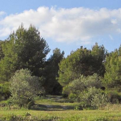 Camping auf dem Bauernhof Roumavagi