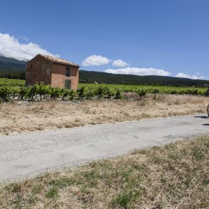 18 - Aux portes du Ventoux