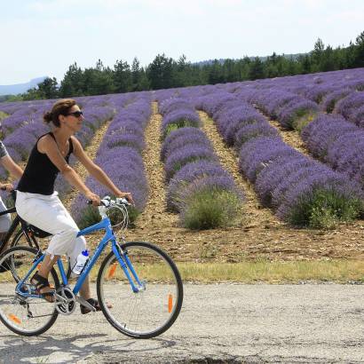 23 - The Plateau de Sault by bike