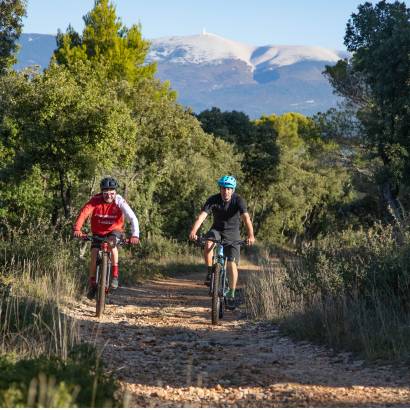 VTT n°13 - Aux portes de la Nesque