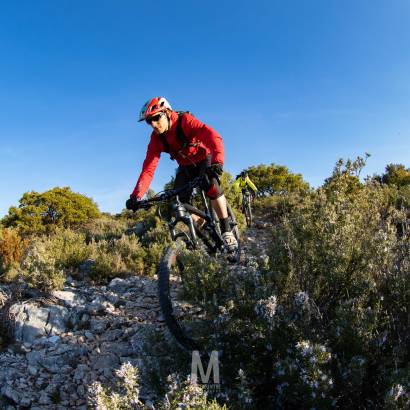 MTB no.35 - Cedar forest and Philippe Tower