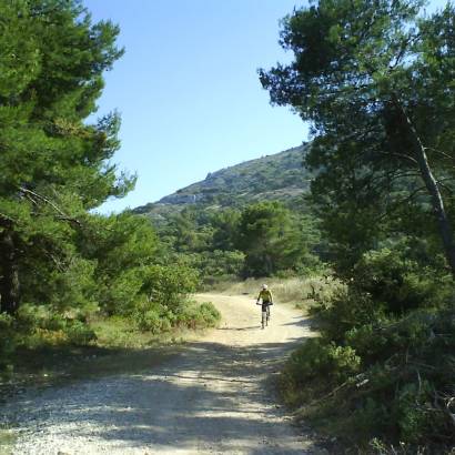 Mountainbikeroute n°39 - Colline Pied Caud