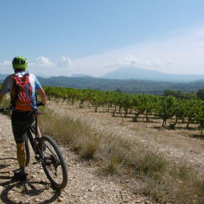 Entre vignes et panoramas