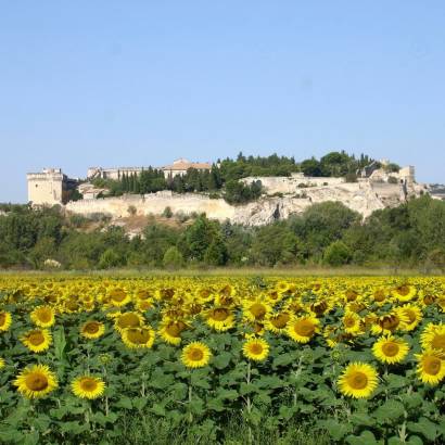 La Rive droite du Rhône-balade à vélo-50