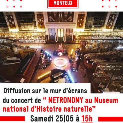 Diffusion concert : Métronomy au Muséum National d'Histoire Naturelle