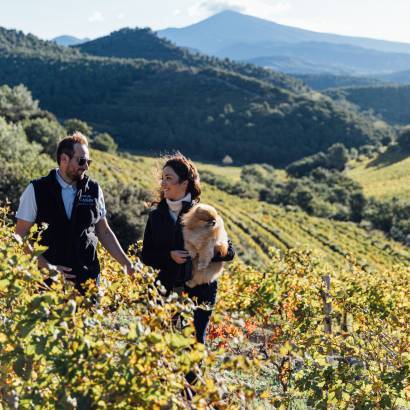 Walk and Tasting at the heart of Dentelles de Montmirail Walk and Tasting at the heart of Dentelles de Montmirail