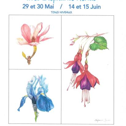 Stage d'aquarelle botanique avec Stéphanie Henao Stage d'aquarelle botanique avec Stéphanie Henao