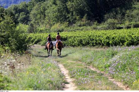 Balade à cheval avec Le Poney rouge