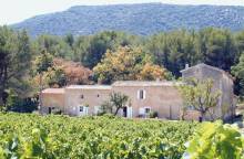 Domaine Faverot