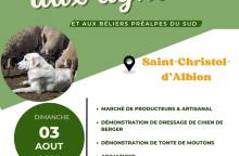 Foire et concours aux agnelles et béliers préalpes du Sud