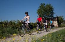 Circuit Vélo - Entre Chapelles et Vergers