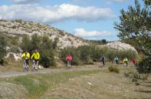 Transhumance Voyages