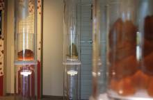 The House of Candied Fruit (La Maison du Fruit Confit)