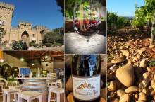 Animations autour du vin des Domaines Mousset
