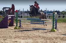 Cheval et Provence