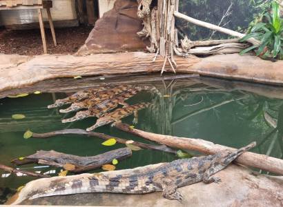 La Ferme aux Crocodiles
