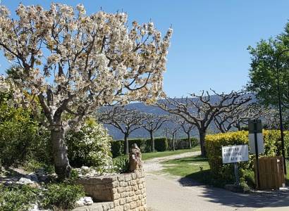 Camping Municipal Aéria