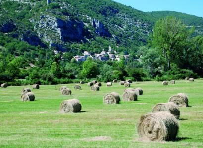 Le village de Monieux