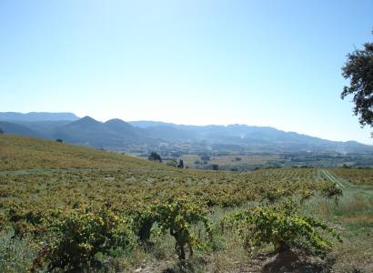 32 - Les Paysages des Côtes-du-Rhône