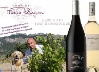 Domaine Font Sante