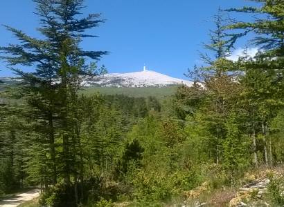 Biosfeerreservaat Mont Ventoux