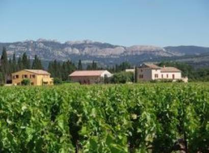 Domaine Aymard