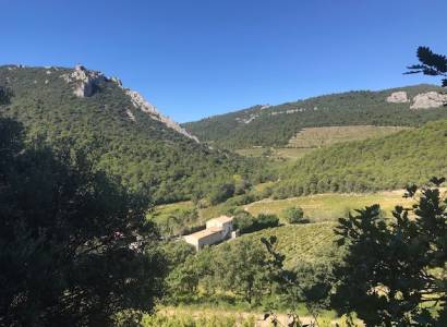 Domaine de Cassan