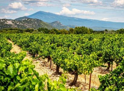 Domaine de Chantegut