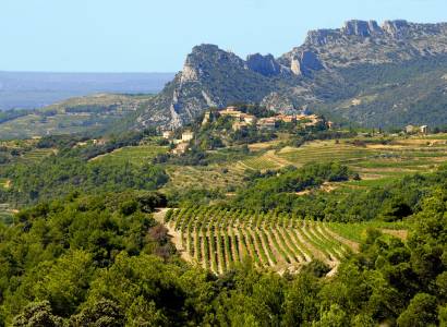 Secrets de vin au coeur des Dentelles de Montmirail