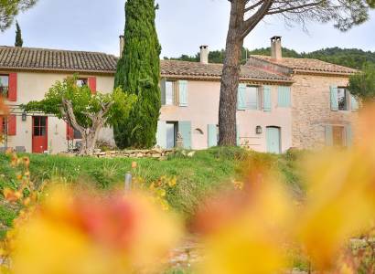 Clos de Caveau - Le Clos