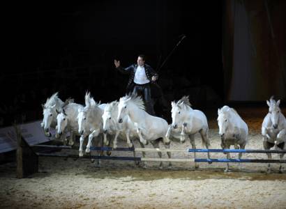 Cheval Passion 2027