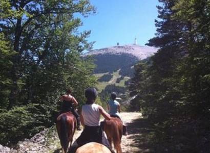 Les Crinières du Mont Ventoux