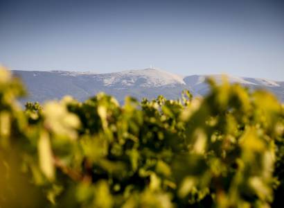 Dégustation et visite du chai de biodynamie de la cave Terraventoux