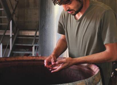 Domaine des Bouzons