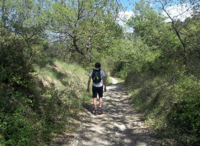 Randonnée à Puy Bricon et parcours d'orientation - Pernes les Fontaines - 6 km