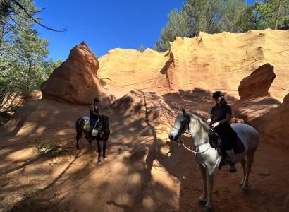 Provence Hipposervices