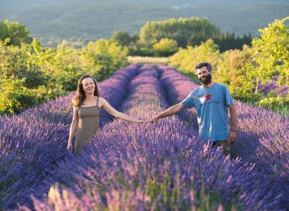 La Provence en bouteille
