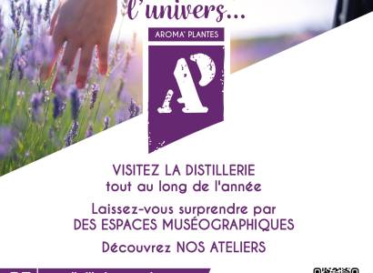 Visite de la distillerie Aroma'plantes