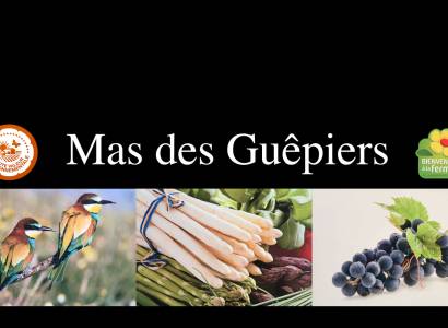 Mas des Guépiers