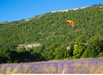 Voler au Pays des Monts d'Albion
