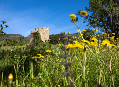 Domaine Les 2 sources | Karine et Michel Mouret