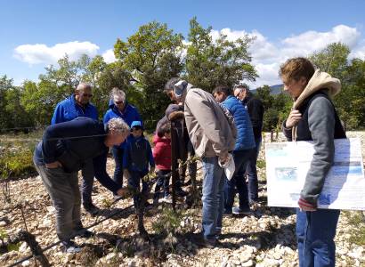 Balade au cœur des vignes au Domaine les Patys