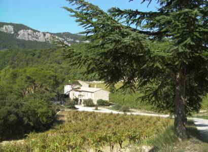 Balade et dégustation au Domaine de Cassan
