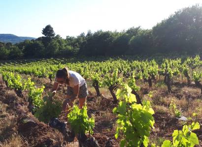 Domaine Hélène Bleuzen