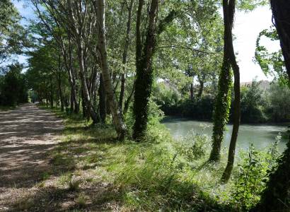 Balade sur les berges de l’Ouvèze, à Sorgues