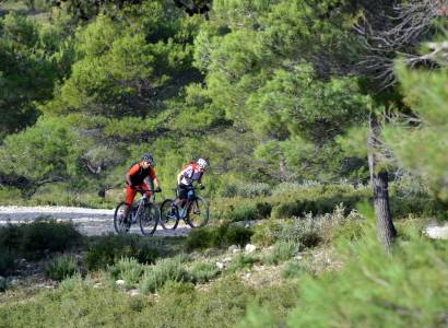 VTT n°36 - Peyre Plate