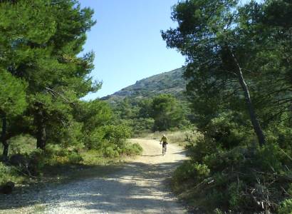 VTT n°39 - Colline Pied Caud