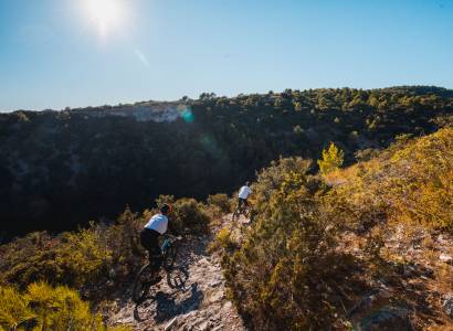 VTT n°44 - Grande Combe