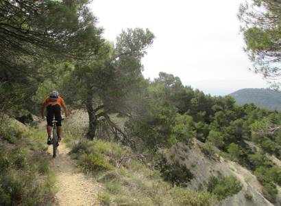 VTT n°31 - De l'étang de La Bonde au sentier géole