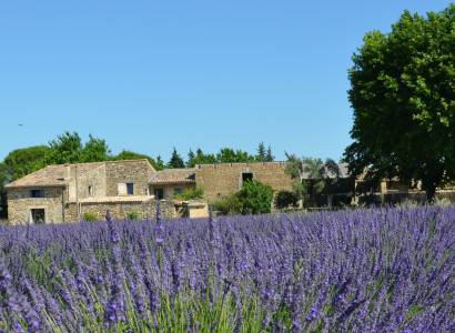 Mas de l'Amme